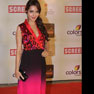 Celebs at 18th Annual Colors Screen Awards